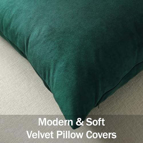 Euro Sham Covers 26x26 Green (Evergreen / 26" x 26" (Pack of 2))