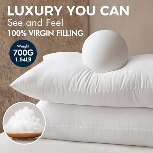 20x26 Throw Pillows Inserts 2 Pack (Standard)