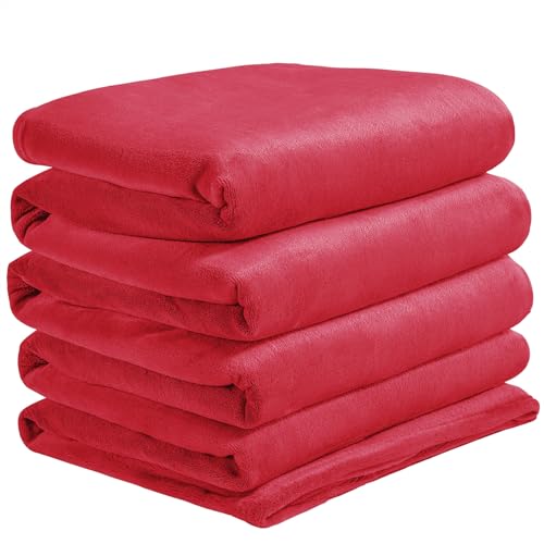 Fleece Blanket Soft Plush Oversized Bed Blanket Red 120"x120" (Red / Oversized King(120"x120"))