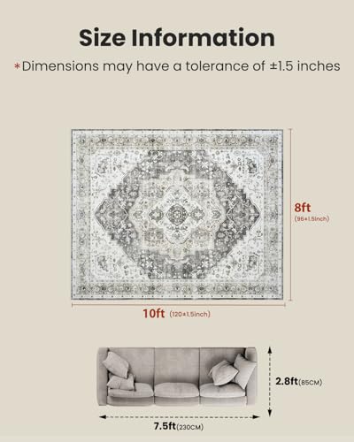 Amada Large 8x10 Washable Area Rug for Living Room (8' x 10' (Rectangular) / Grey)