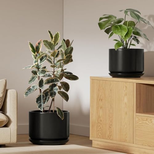 10 + 12 Inch Ceramic Plant Pots (Black / 10"+12")