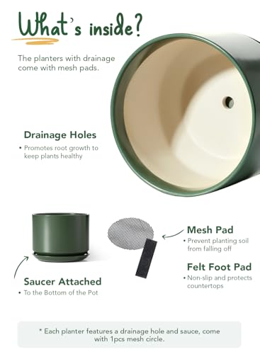 10 + 12 Inch Ceramic Plant Pots (Forest Green / 10"+12")