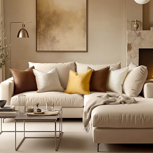 Decorative Brown Velvet Throw Pillow Covers for Couch 16x16 Inch (16" x 16" (Pack of 2) / Brown)