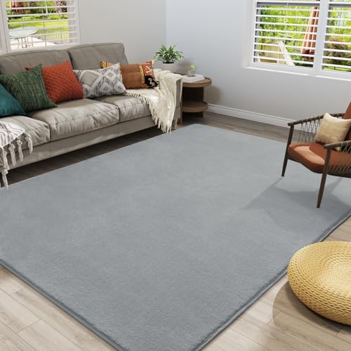 Large Modern Area Rugs for Bedroom Living Room (6' x 9' (Rectangular) / Grey)