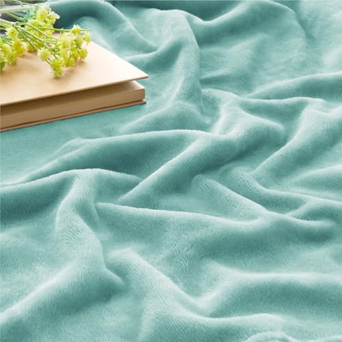 Fleece Blanket Soft Plush Twin Size Blanket Haze Blue 60"x80" (Haze Blue / Twin(60"x80"))