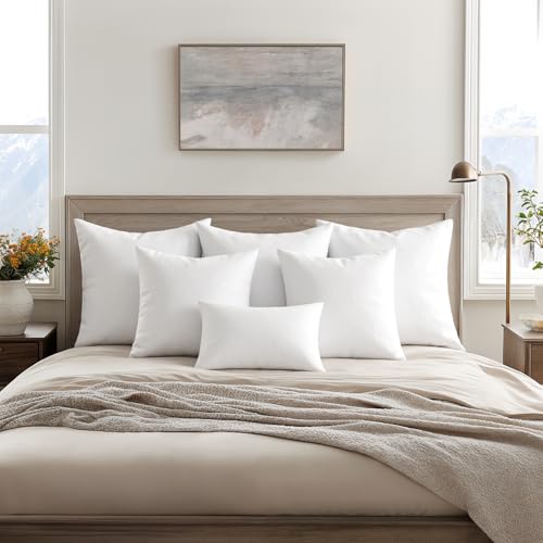 14x20 Throw Pillows Inserts 2 Pack (14x20 Inch)