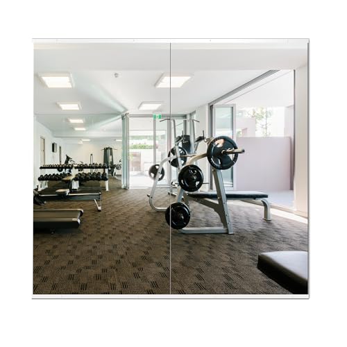 Gym Mirrors for Home Gym (Frameless / 54'' x 30'' x2PCS)
