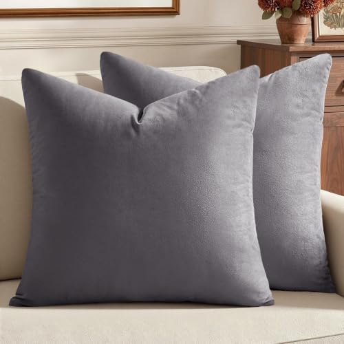 24x24 Inch Pack of 2 Euro Velvet Throw Pillow Covers Medium Gray (24" x 24" (Pack of 2) / Medium Gray)