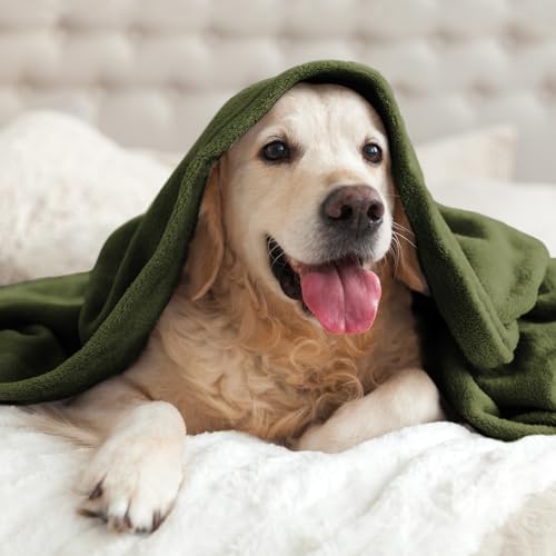 Fleece Blanket Soft Plush Twin Size Blanket Olive Green 60"x80" (Olive Green / Twin(60"x80"))