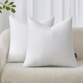 20x20 Pillow Inserts Set of 2 (20x20 Inch)