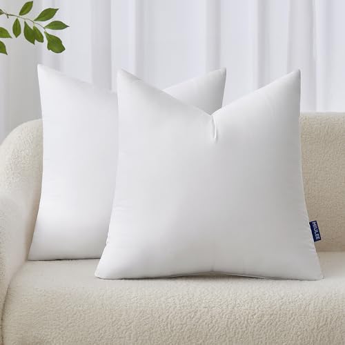 20x20 Pillow Inserts Set of 2 (20x20 Inch)