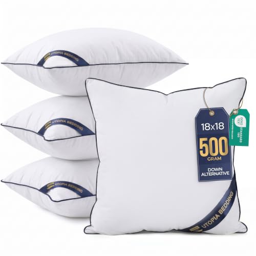 18x18 Throw Pillow Inserts (18x18 Inch)
