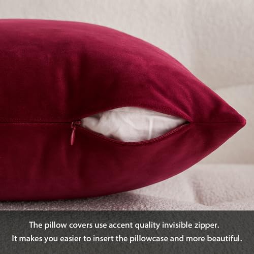 Velvet ChristmasThrow Pillow Covers 18x18 Inch Pack of 2 Wine Red (18" x 18" (Pack of 2) / Wine Red)