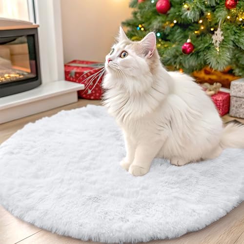 White Round Rugs for Bedroom (2 Ft Round / White)