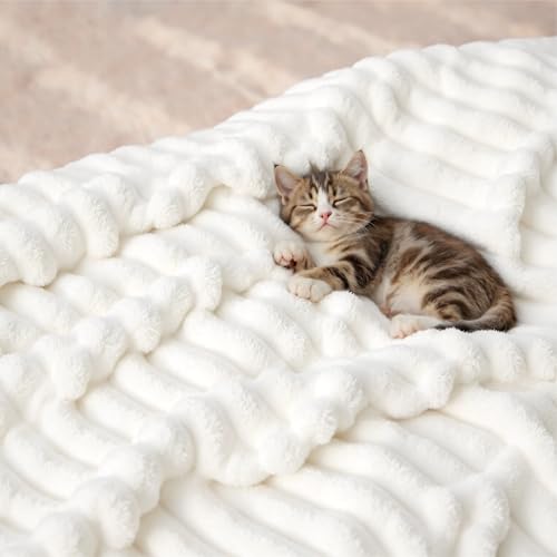 GentleSoft White Throw Blanket for Couch (Off White / Throw)