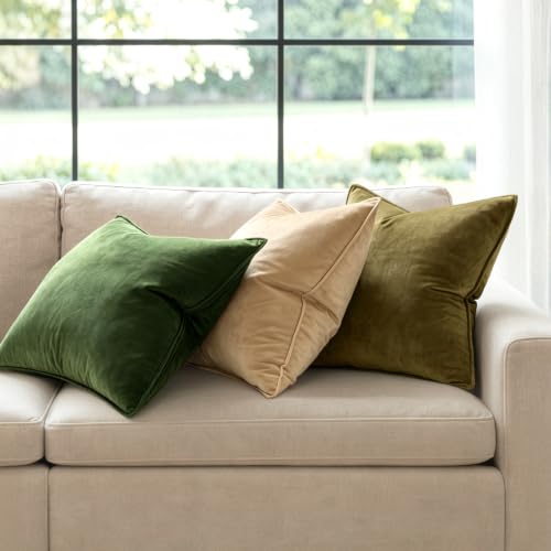 Decorative Beige Velvet Throw Pillow Covers for Couch 20x20 Inch (20" x 20" (Pack of 2) / Beige)