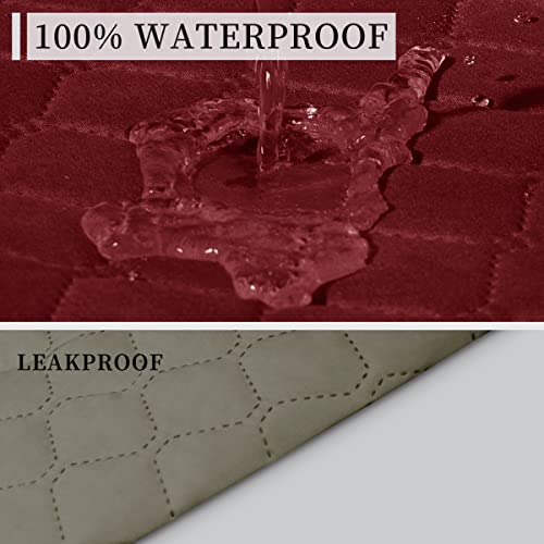 Double Protection 100% Waterproof Sofa Covers for Living Room (Christmas Red/Beige / Sofa Large)