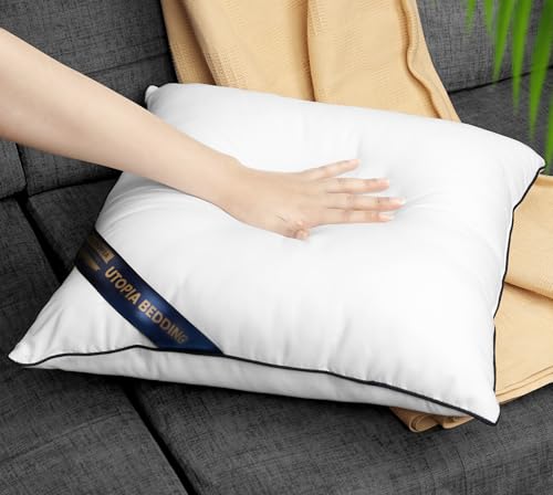 18x18 Throw Pillow Inserts (18x18 Inch)