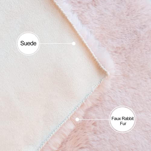 Pink Faux Fluffy Rabbit Fur Rug for Living Room Shag Washable Rug Area Rugs for Bedroom 3x5 Nursery Rugs (3' x 5' (Rectangular) / Pink)