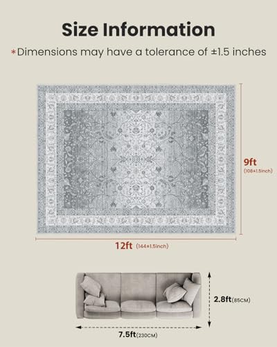 Amada Large 9x12 Washable Area Rug for Living Room (9' x 12' (Rectangular) / Silver/Gray)