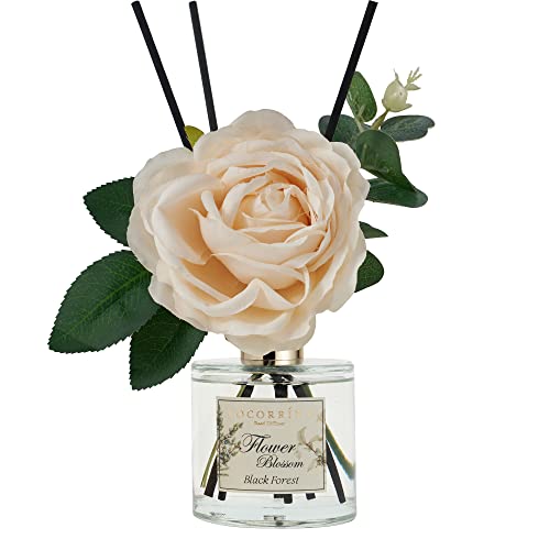 Cocorrina Reed Diffuser Set (6.7 Ounce/1pack)