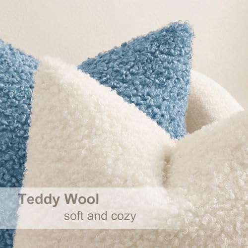 Sherpa Decorative Throw Pillow Covers 22x22 Set of 2 Light Blue (Light Blue / 22" x 22" (Pack of 2))