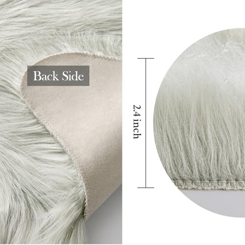 Fluffy Area Rug 2x3 ft Faux Fur Sheepskin Rug for Bedroom Light Grey (2' x 3' (Sheepskin) / Light Grey)