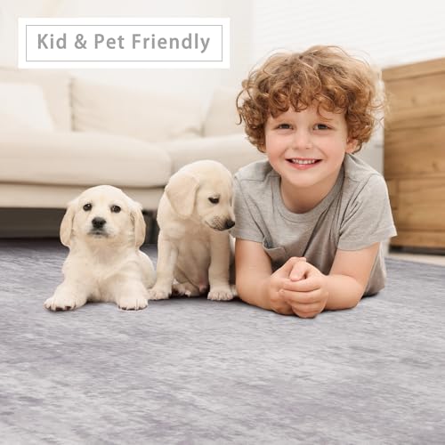 8x10 Washable Area Rugs for Living Room (8' x 10' (Rectangular) / Modern-grey)