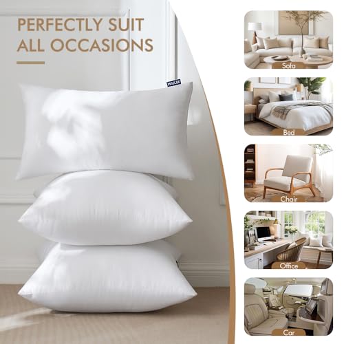 12x20 Pillow Inserts Set of 4 (12x20 Inch)