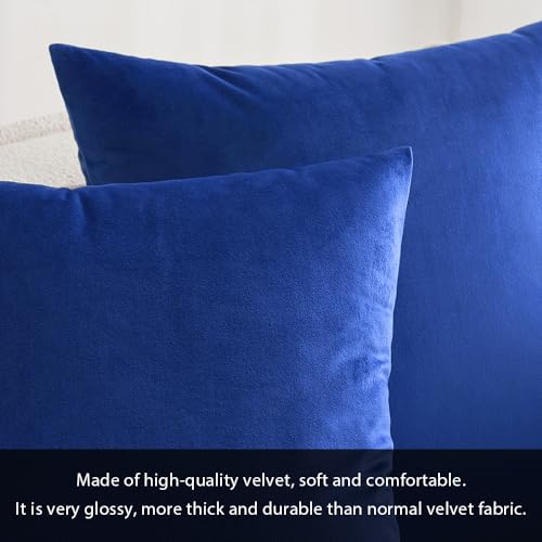 Velvet Throw Pillow Covers 20x20 Inch Pack of 2 Royal Blue (20" x 20" (Pack of 2) / Royal Blue)