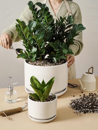 10 + 12 Inch Ceramic Plant Pots (White / 10"+12")