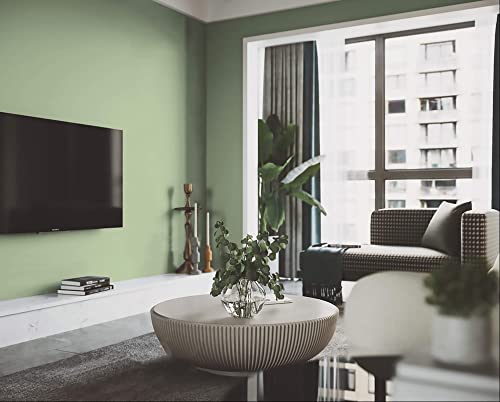 78.7''x17.3'' Green Skin Peel and Stick Wallpaper Contact Paper Modern Self Adhesive Wall Paper Removable Renter Friendly Textured Solid Color Vinyl Roll (Light Green Skin / 17.3" x 78.7")