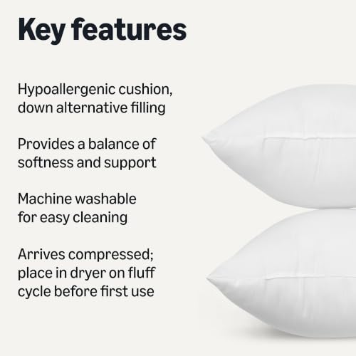 Square Hypoallergenic Down Alternative Pillow Insert (20 x 20 inches / 2 Pack)