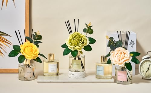 Cocorrina Reed Diffuser Set (6.7 Ounce/1pack)