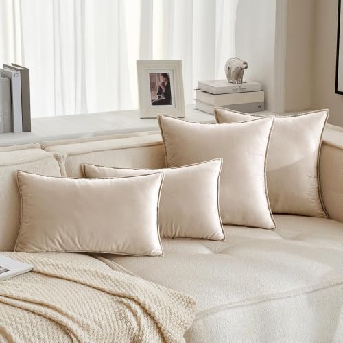 Decorative Champagne Velvet Throw Pillow Covers for Couch 20x20 Inch (20" x 20" (Pack of 2) / Champagne)