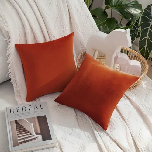 Velvet Fall Throw Pillow Covers 12x12 Inch Pack of 2 Burnt Orange (12" x 12" (Pack of 2) / Burnt Orange)