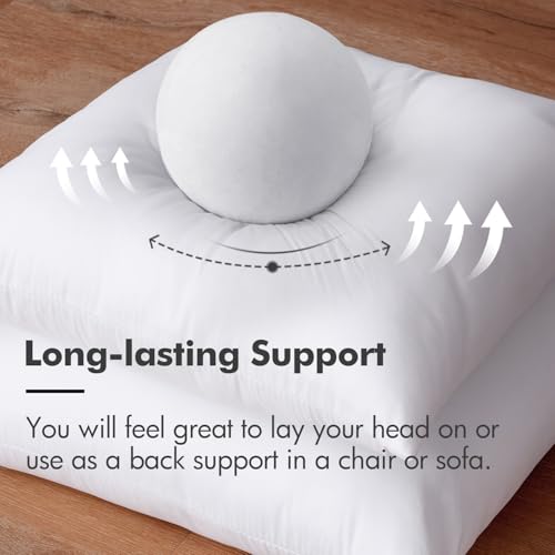 18x18 Inch Throw Pillow Insert for Couch Sofa Bed (18x18 Inch)