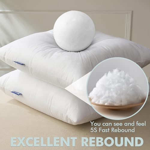 Pillow Insert 12x20 Inch Set of 2 Decorative Throw Pillow Inserts (12x20 Inch)