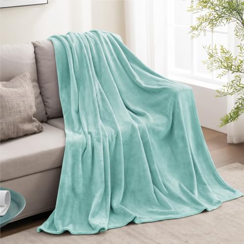 Fleece Blanket Soft Plush Twin Size Blanket Haze Blue 60"x80" (Haze Blue / Twin(60"x80"))