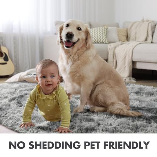 8x10 Ft Extra Large Shag Rugs for Living Room (Ab Tie Dyed Light Grey / 8' X 10' (Rectangular))