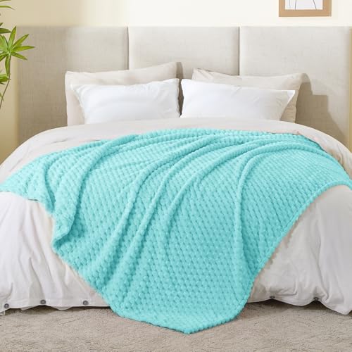 Aqua Twin Blanket for Couch (Aqua / Twin(60"x80"))