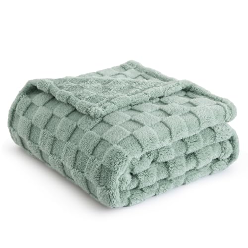 Twin Blanket for Bed (01 Sage Green / Twin (60" X 80"))
