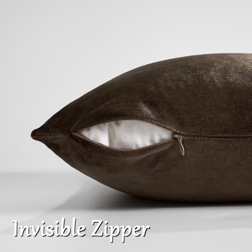 Brown Velvet Pillow Covers 18x18 Decorative Pillows Pack of 2 (Brown / 18" x 18" (Pack of 2))