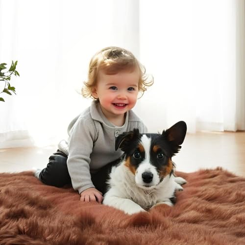 Faux Fur Sheepskin Rug for Living Room (4' x 6' (Rectangular) / Coffee)