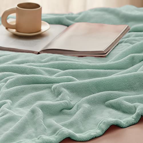 GentleSoft Twin XL Fleece Blanket Dorm Bedding (05 - Sage Green / Twin XL (66" X 90"))