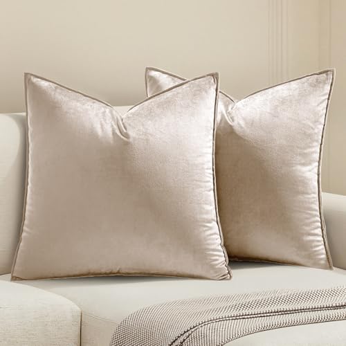 Decorative Champagne Velvet Throw Pillow Covers for Couch 20x20 Inch (20" x 20" (Pack of 2) / Champagne)