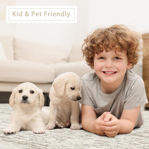 Washable Rugs 5x7 Area Rugs for Living Room (5' x 7' (Rectangular) / Beige-ivory-cream-brown-camel)