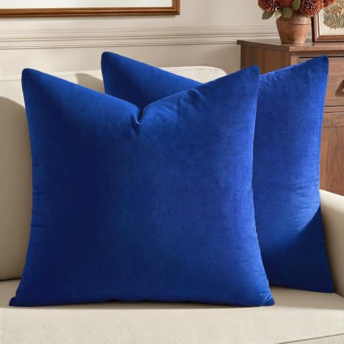 Velvet Throw Pillow Covers 20x20 Inch Pack of 2 Royal Blue (20" x 20" (Pack of 2) / Royal Blue)