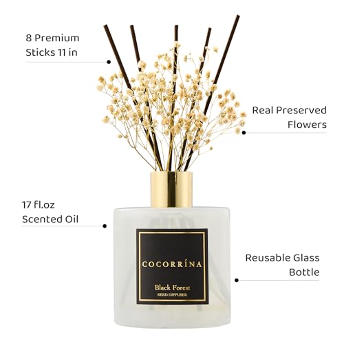 Reed Diffuser (17 Ounce/1pack)