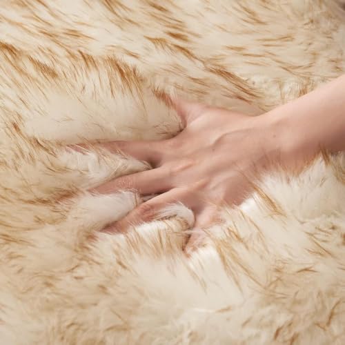 Fluffy Area Rug 3'x5' Large Faux Fur Sheepskin Rug FrostedTips Brown (3' x 5' (Sheepskin) / Frosted Tips Brown)